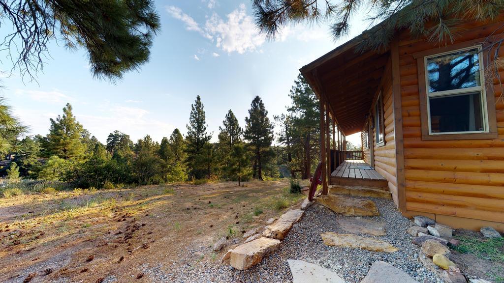 Long View Cabin, Breakfast Deck Overlooking The Canyon! 蒙蒂塞洛 外观 照片