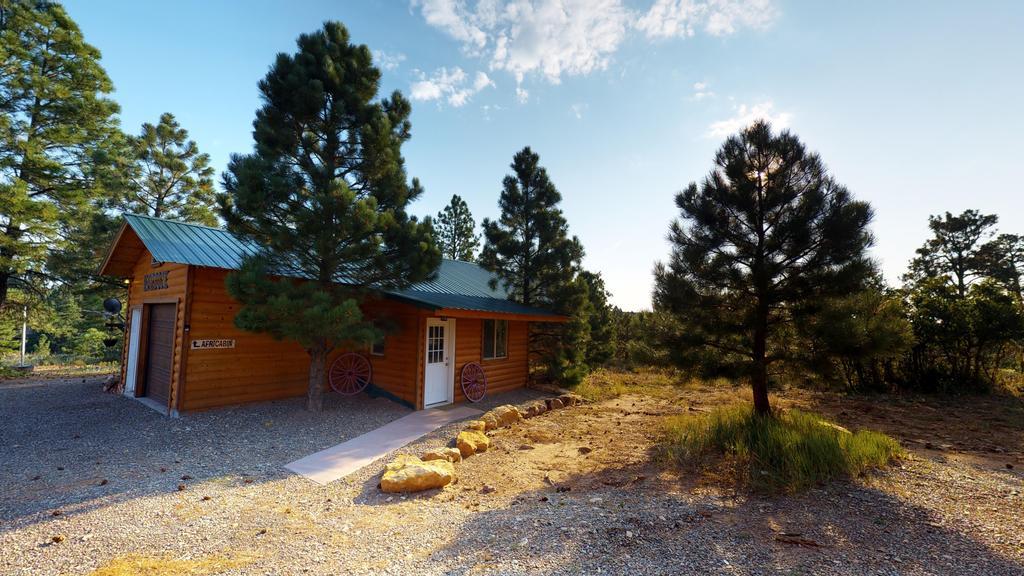 Long View Cabin, Breakfast Deck Overlooking The Canyon! 蒙蒂塞洛 外观 照片